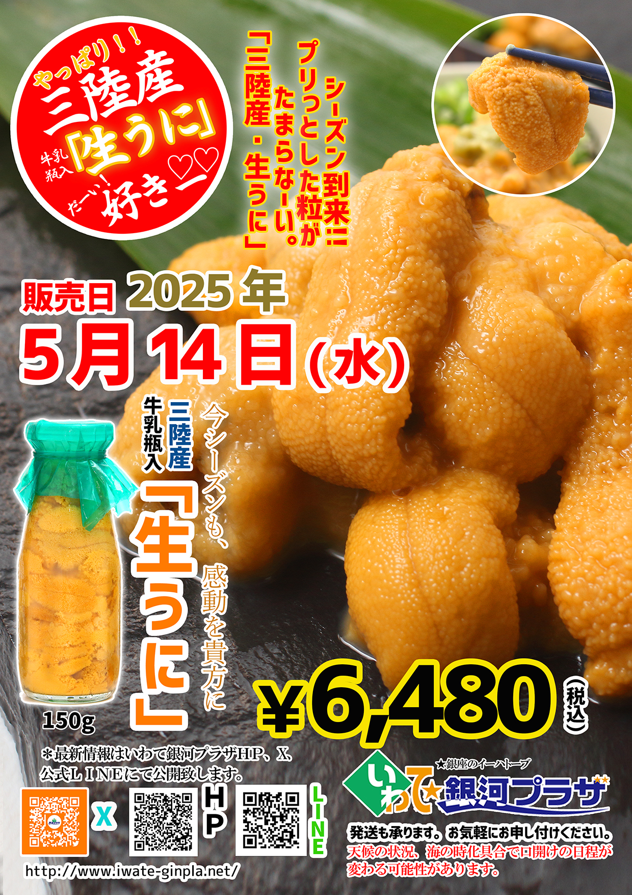 20250512生うに