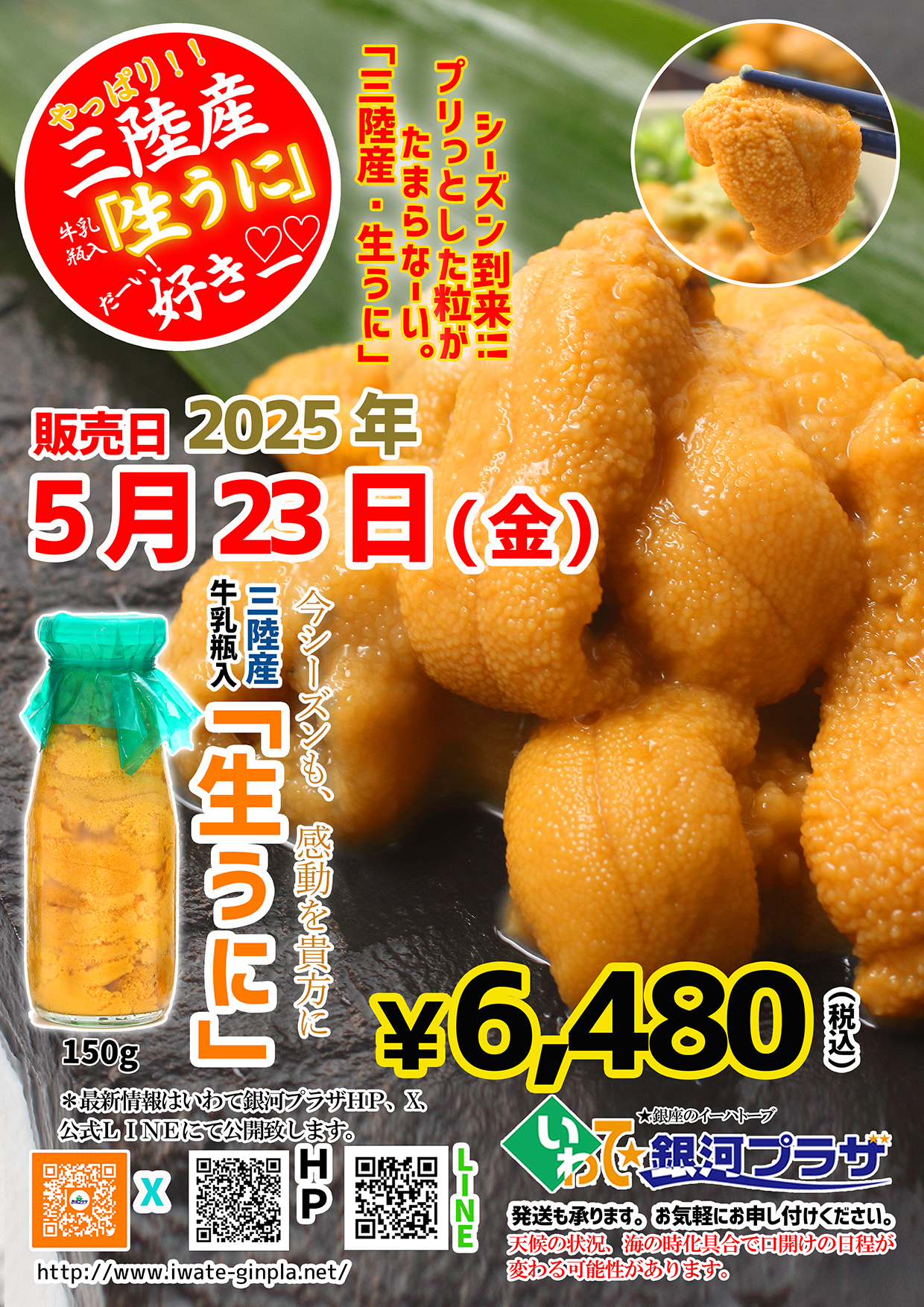 20250521生うに
