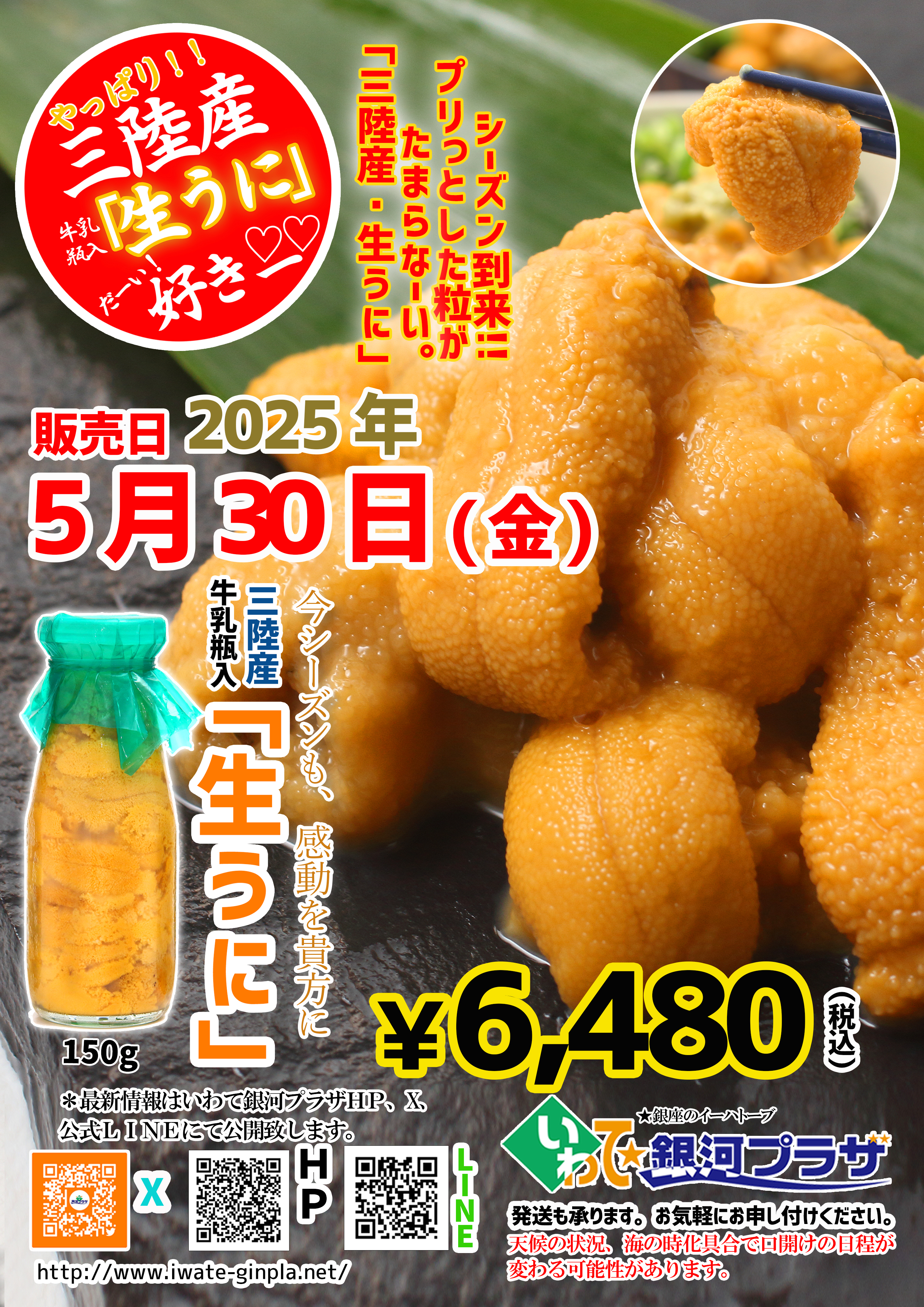 20250528生うに